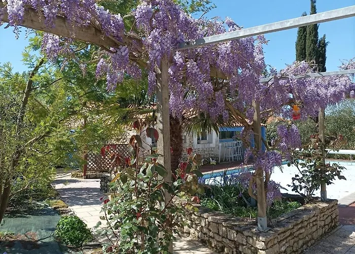Rock - La Note Bleue Sainte-Radégonde-des-Noyers